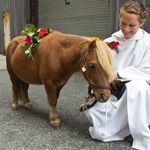 Adorable wee pony!<br/>